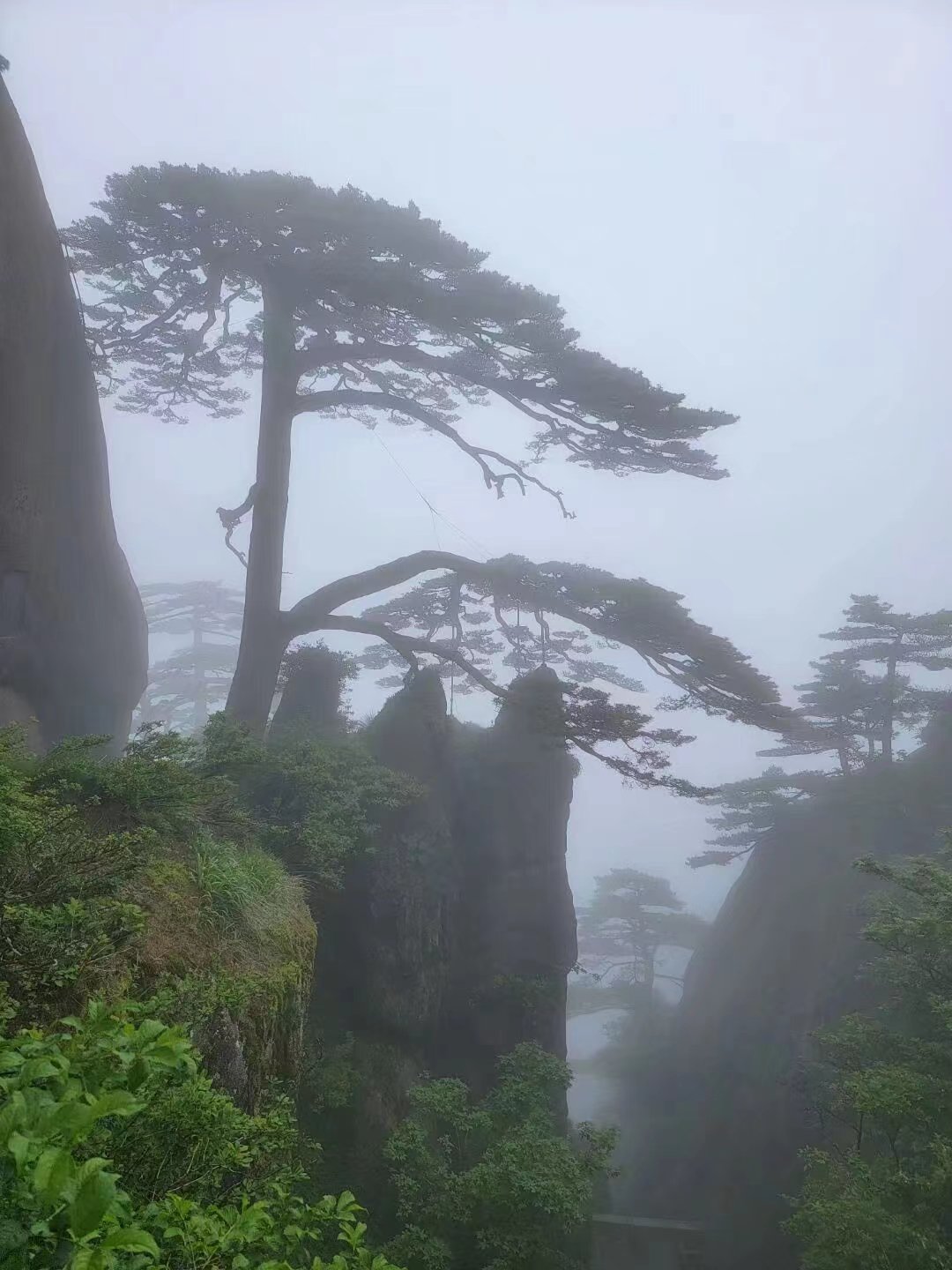 黃山團建